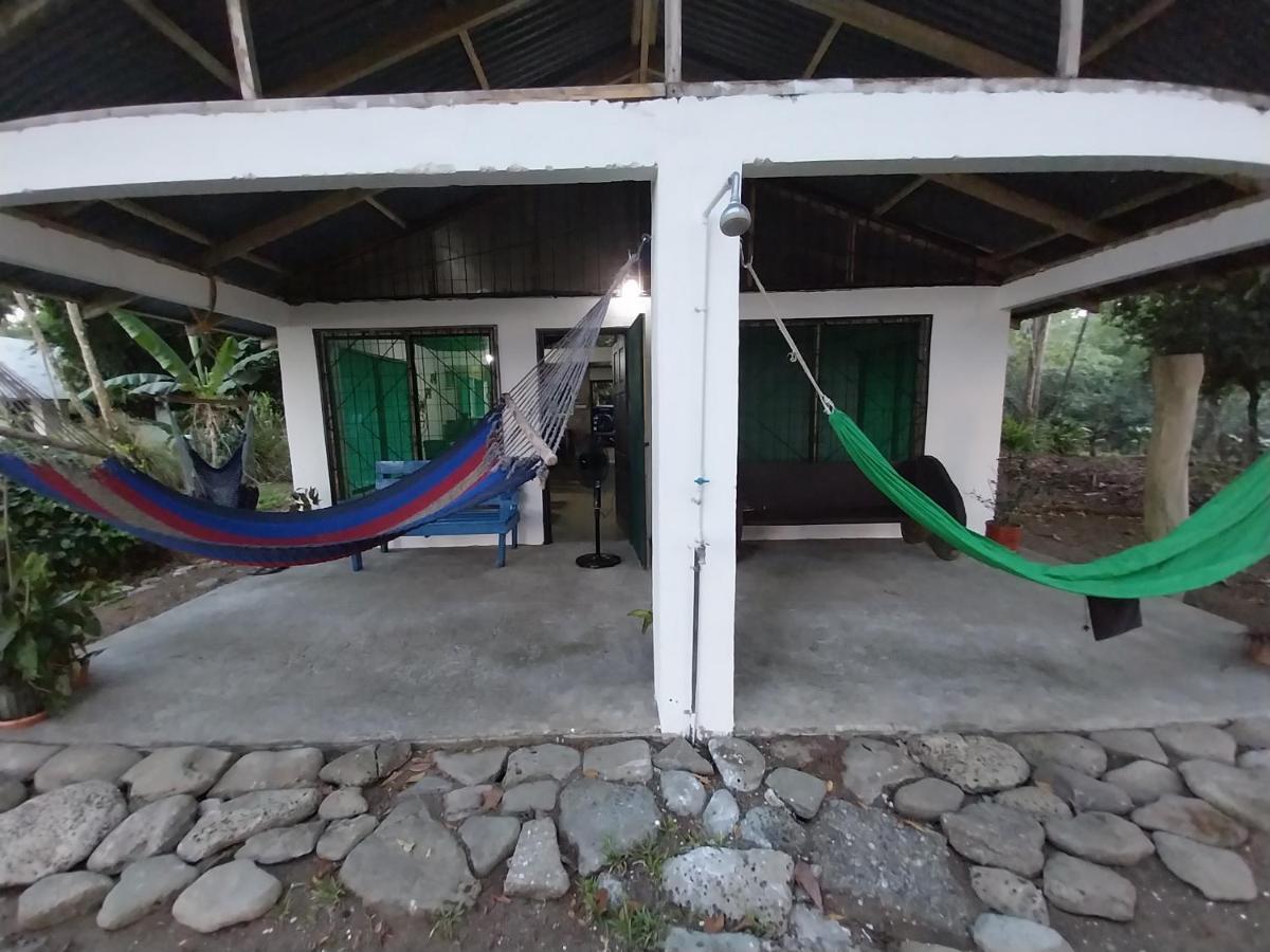 Happy Monkeys * Puerto Jimenez