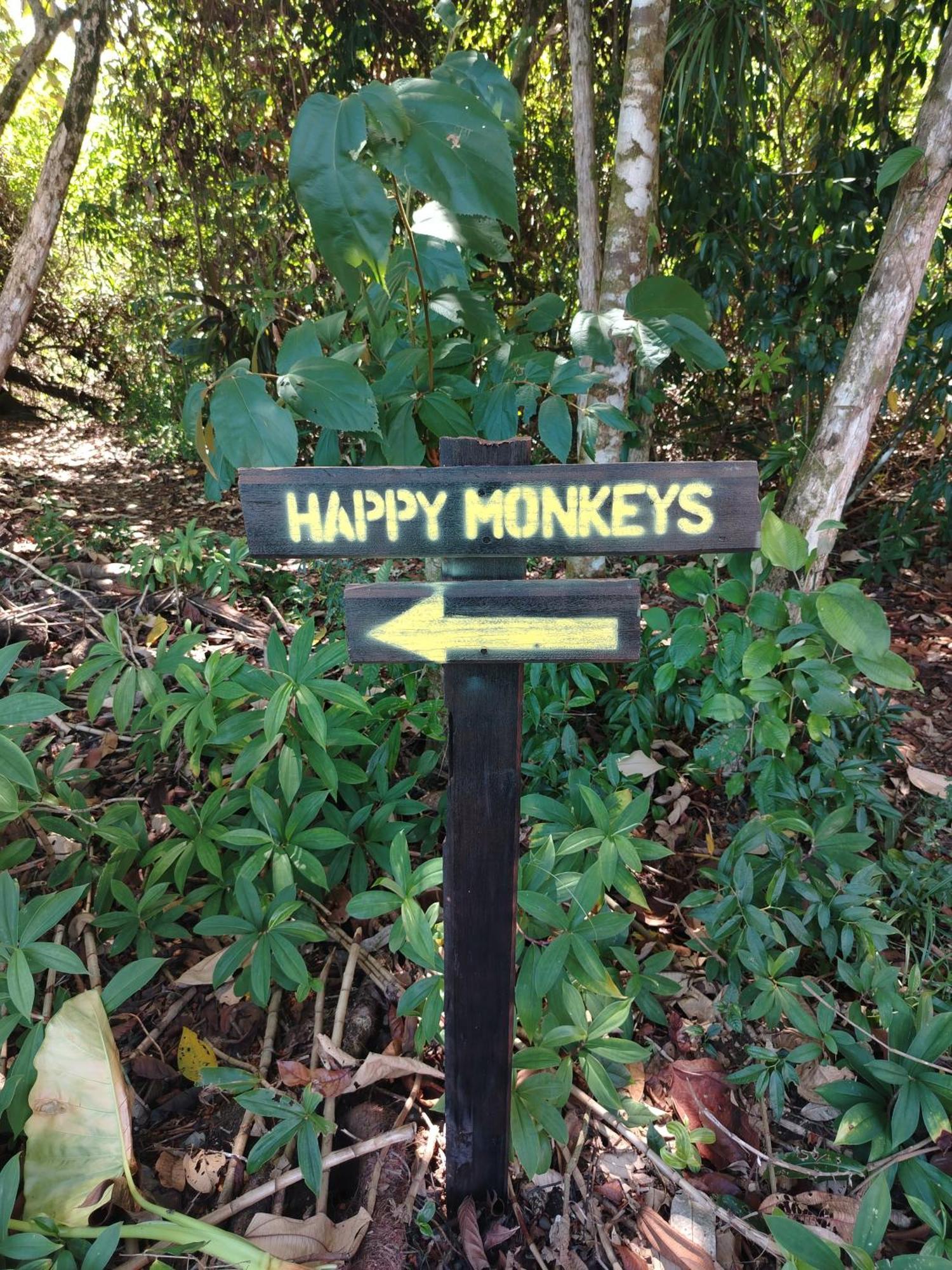 Happy Monkeys Ferienhaus Puerto Jiménez
